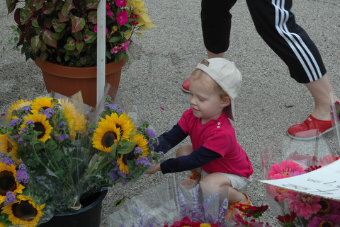 Flower shopping at Evanston Farmer's Market
