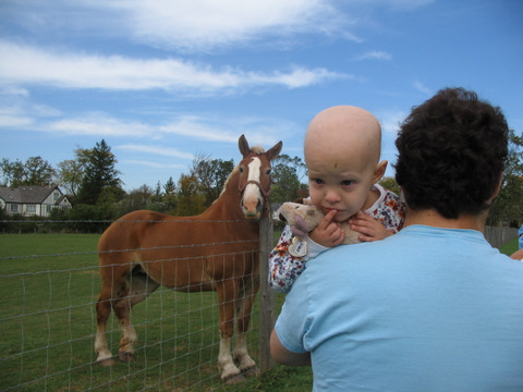 Big horses are scary.