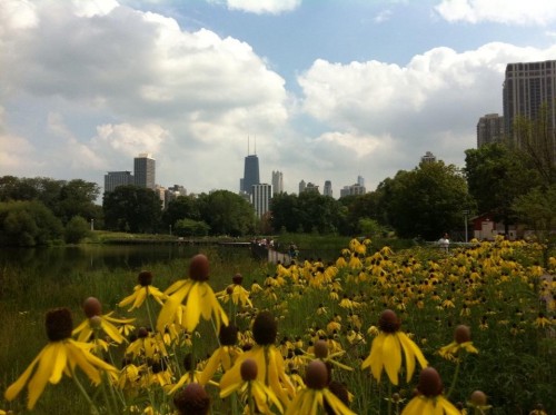 The jewel on the prairie.  Photo courtesy of MTM.