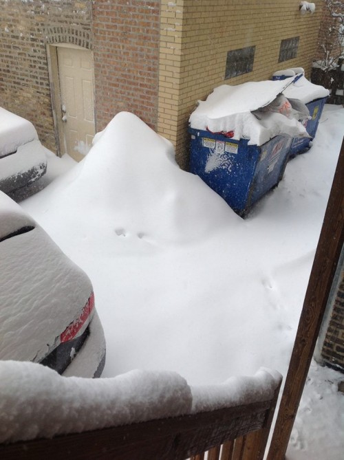 I know I'm in a good space, cause the garbage that is no doubt frozen to the ground and won't thaw until March and hasn't been picked up in TWO WEEKS doesn't even bother me.  Well, only a little.