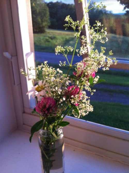 This was a quick arrangement of wild flowers I kept at my bedside during week I spent in bed last summer with pneumonia while on vacation -- they helped!