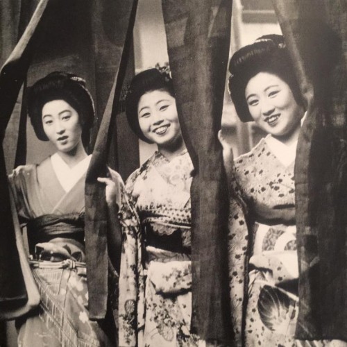 Beautiful Geishas in Kyoto, Japan.  